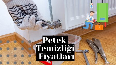 2025 Yılı Petek Temizliği Fiyatları ve Güncel Bilgiler